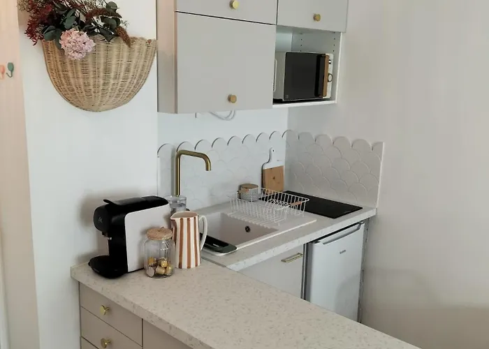 Grande St Gilles Croix De Vie - Parking Prive *